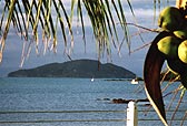 Brasilien Urlaub zur Entspannung: Südsee-Flair mit Kokosnüssen wie von Gauguin auf Tahiti gemalt